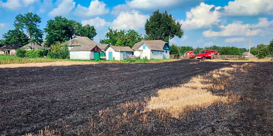Стерня після пожежі