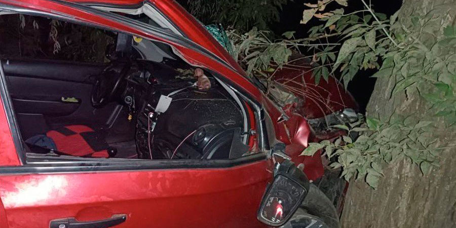 Chevrolet Aveo в'їхав у дерево