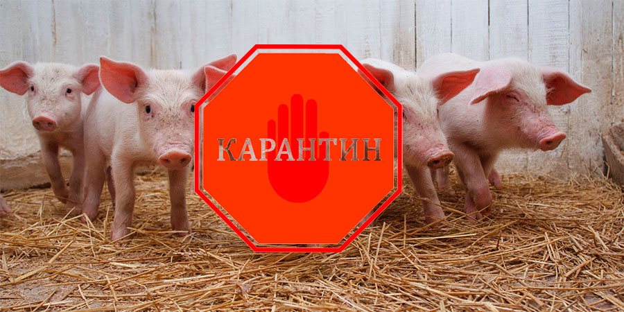 Карантин