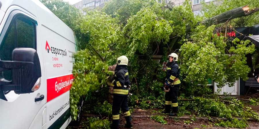 Дерево упало на авто