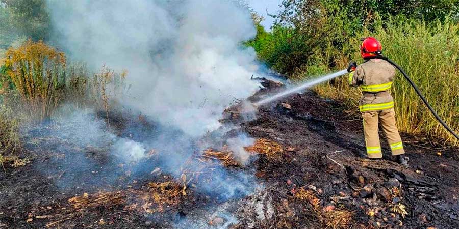 Пожежник гасить пожежу сухої трави