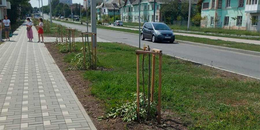 Зламані сакури
