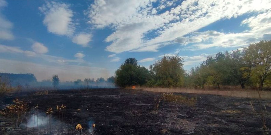 Наслідки пожежі сухостою
