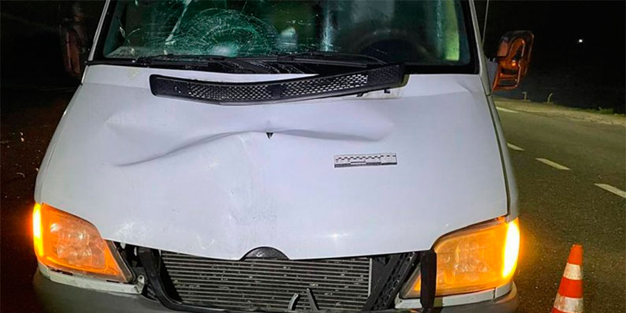 Mercedes-Benz Sprinter після наїзду на пішохода у селі Слобода