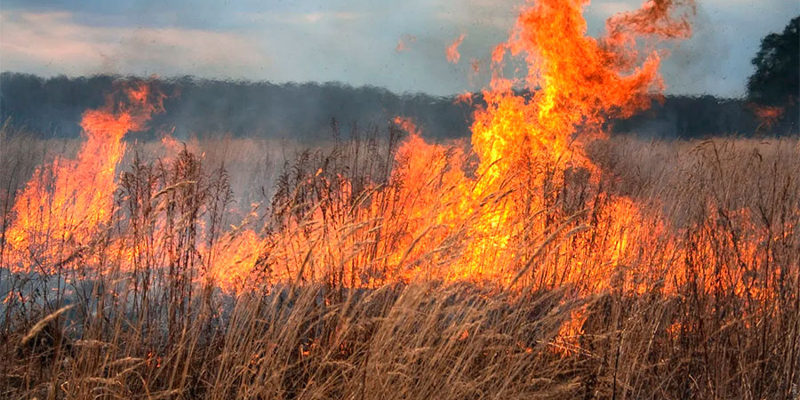 Пожежа трави