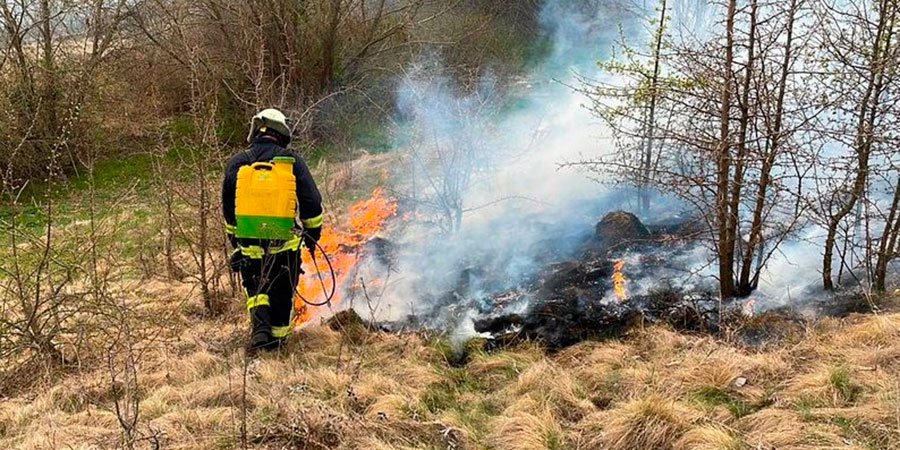 Пожежник бореться із пожежею сухостою