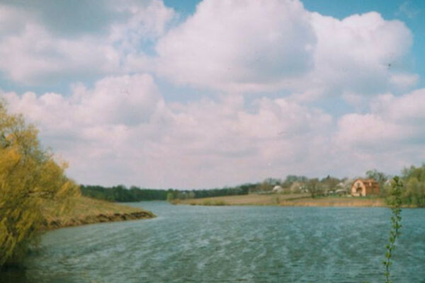 У селі Топильна у місцевій водоймі втопився чоловік