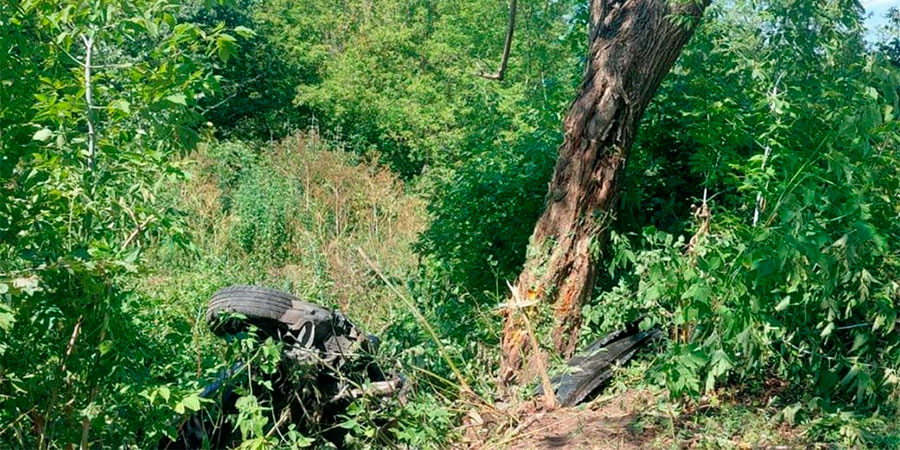 Renault Megane після ДТП поблизу села Рогова