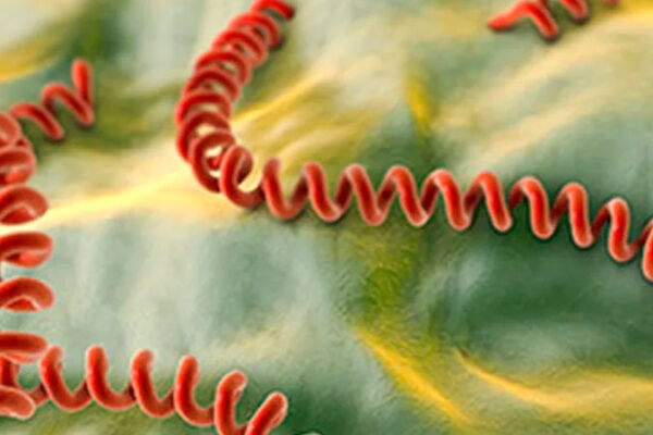 У Багачевому 20-річний чоловік захворів на лептоспіроз