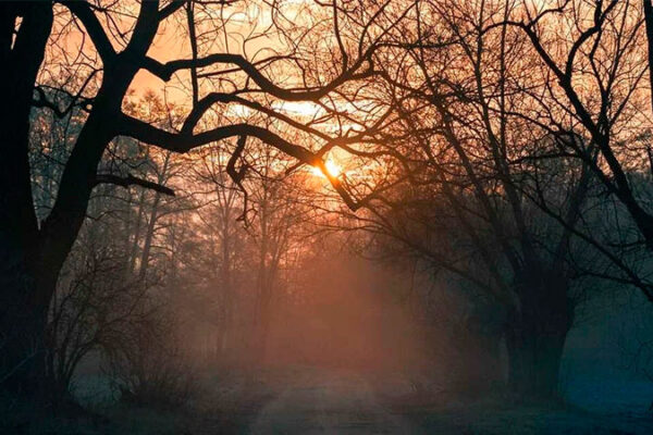 У селі Вітове повісився хлопець 2005 року народження