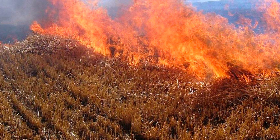 Пожежа у полі