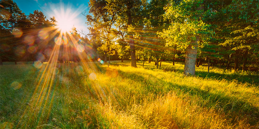 Сонячна погода