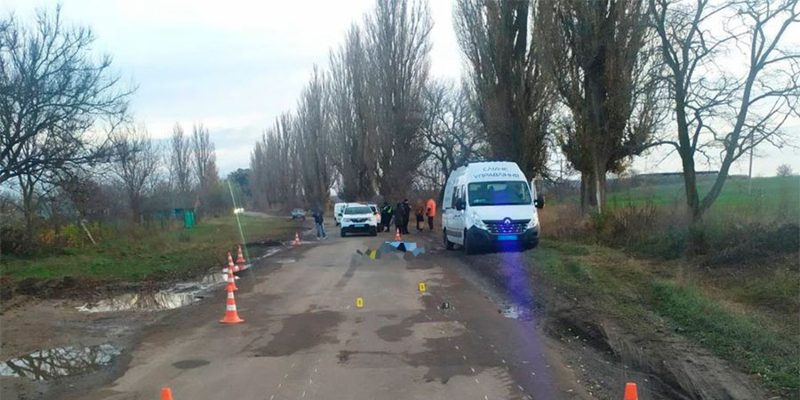 Місце смертельної аварії у селі Шендерівка