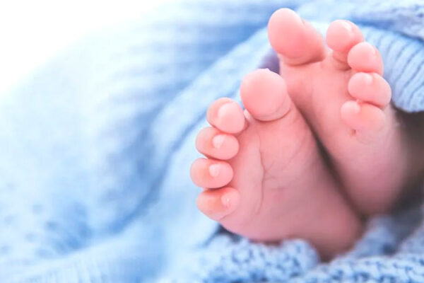 Із 29 грудня 2025 року по 4 січня 2026 року у Черкасах народилися 24 дітей