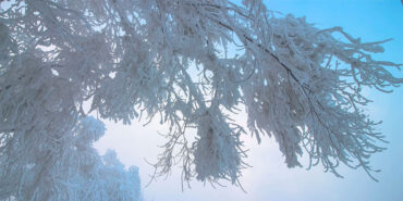 Сильні морози