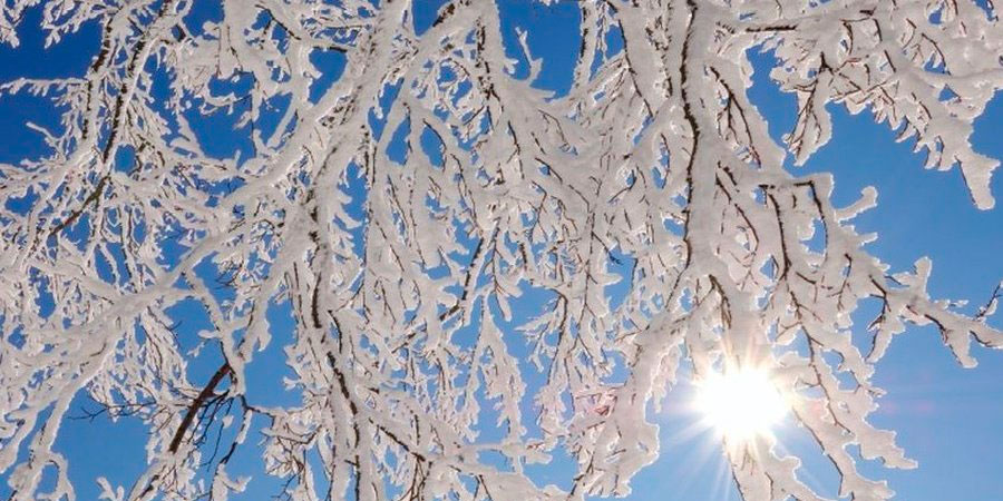 Сильний мороз