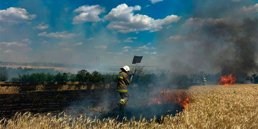 Пожежа на полі пшениці