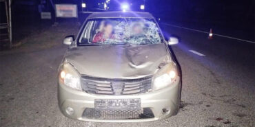 Dacia Sandero після наїзду на пішохода у селі Софіївка