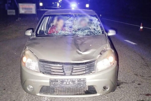 7 серпня у селі Софіївка автомобіль наїхав на пішохода