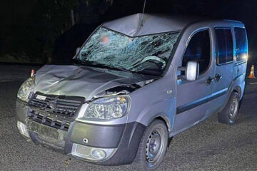 У Мошнах автомобіль Fiat Doblo на смерть збив велосипедиста