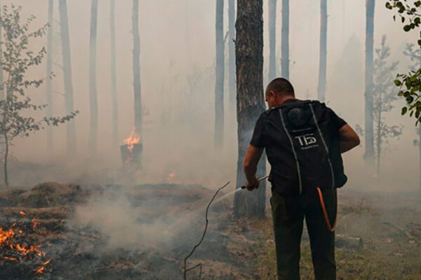 У селі Кумейки вигоріло більше 227 га лісу