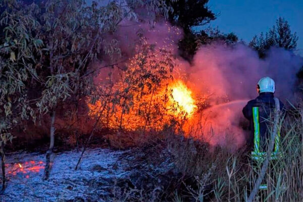 За добу 24 серпня у Черкаській області гасили 28 пожеж