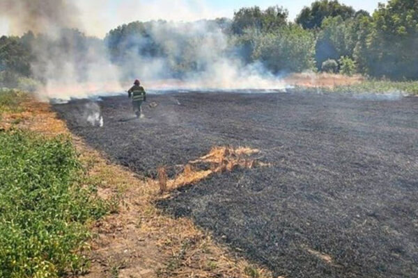 За добу 11 серпня у Черкаській області сталося 15 масштабних пожеж сухостою