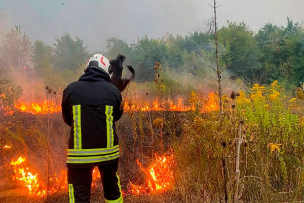 За добу 6 вересня у Черкаській області сталося 8 пожеж сухостою та сміття