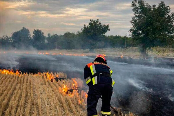 За добу 1 вересня у Черкаській області сталося 25 пожеж